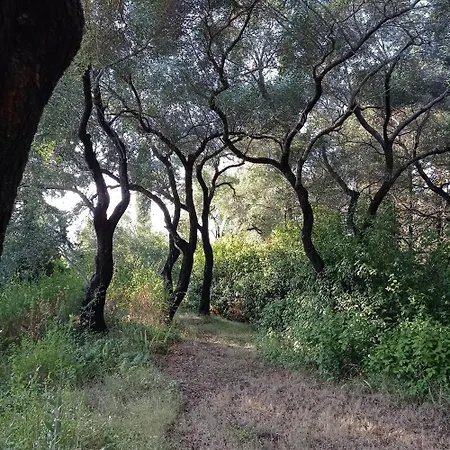 Kefalomandouko B&B 3*