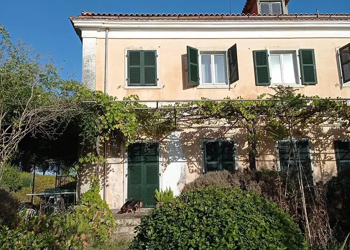 Couette-café Kefalomandouko Alepou