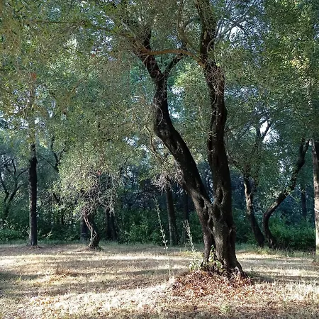 Kefalomandouko B&B 3*