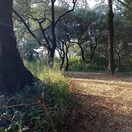 Bed & Breakfast Kefalomandouko Alepou