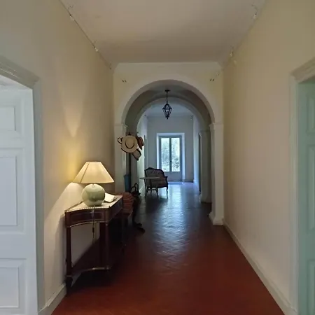 Kefalomandouko Alepou